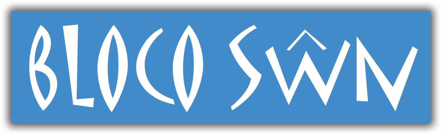 Bloco swn logo